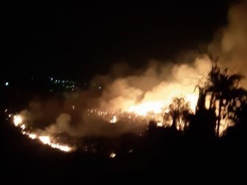 Controlado el incendio forestal en Marbella que ha afectado a 6 hectáreas