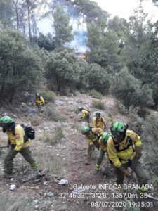 Extinguido el incendio forestal de Marbella tras afectar a 6 hectáreas