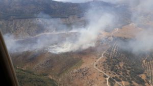 Se mantiene estabilizado el incendio forestal declarado en Rute