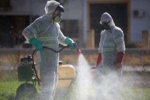 Coria recomienda a los vecinos fumigar en urbanizaciones para prevenir el virus del Nilo