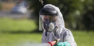 Coria y La Puebla piden a la Junta el coste de la nueva fase de fumigación para prevenir el virus del Nilo