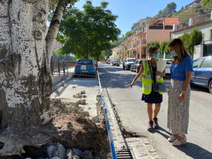 El Ayuntamiento de Granada realiza obras de mejora en el Paseo de la Fuente de la Bicha