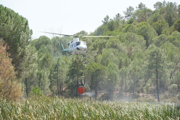 Unas 1800 personas desalojadas a causa del incendio de Almonaster pueden volver a sus casas