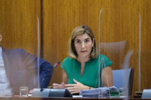 La consejera de Empleo, Formación y Trabajo Autónomo, Rocío Blanco, en una foto de archivo en comisión parlamentaria. - JUNTA DE ANDALUCÍA