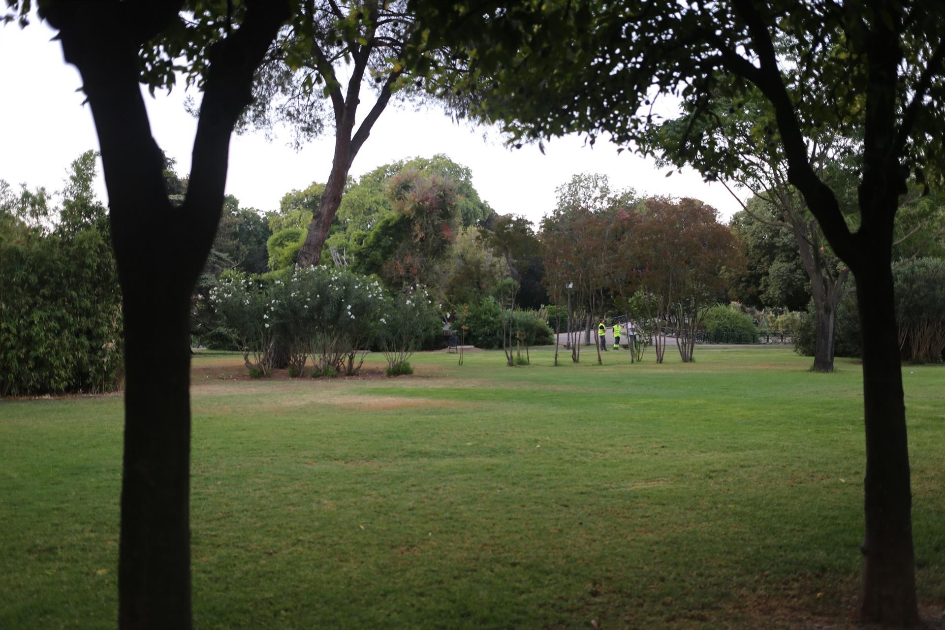 Personal municipal en el Parque de Los Príncipes (imagen de archivo) - AYUNTAMIENTO DE SEVILLA - Archivo