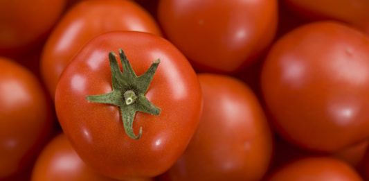 El tomate, alimento referente del verano andaluz