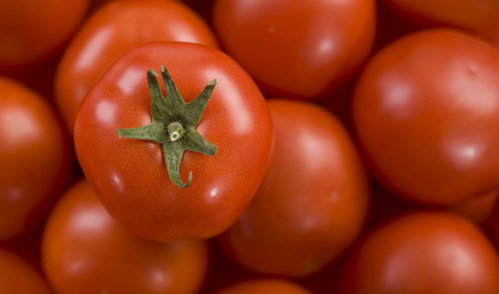 El tomate, alimento referente del verano andaluz