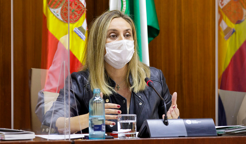 La consejera de Fomento, durante la comisión parlamentaria. / Foto: Junta de Andalucía.