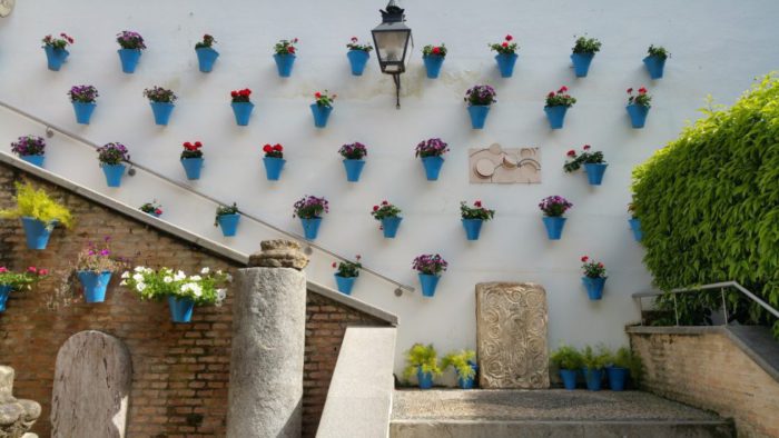 Conoce los Patios de Córdoba, descubre la ciudad a través de su gastronomía