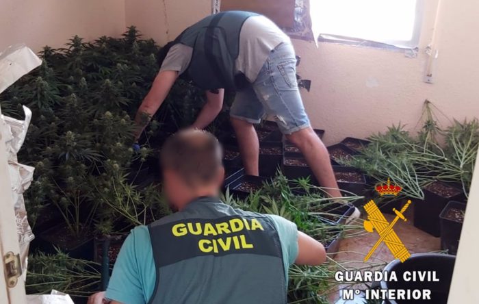 Descubierto un cultivo de 175 plantas de marihuana al tratar de extinguir un incendio