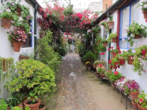 Gran comienzo para los Patios de Córdoba con casi 100.000 visitas y sin incidentes de aglomeración