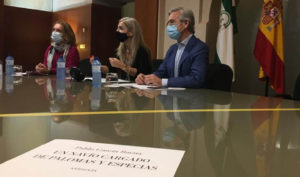 Patricia del Pozo, en la reunión telemática con los familiares del poeta cordobés Pablo García Baena. / Foto: Junta de Andalucía.