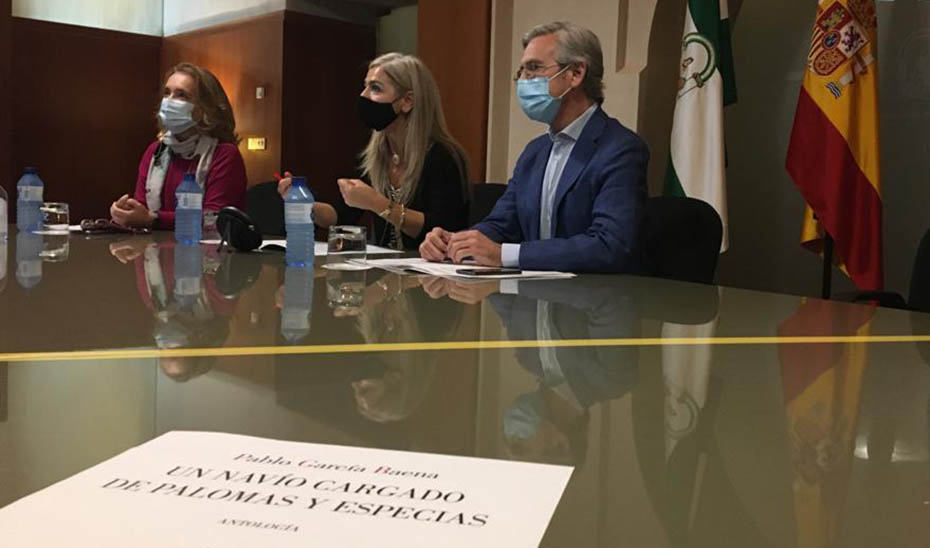 Patricia del Pozo, en la reunión telemática con los familiares del poeta cordobés Pablo García Baena. / Foto: Junta de Andalucía.