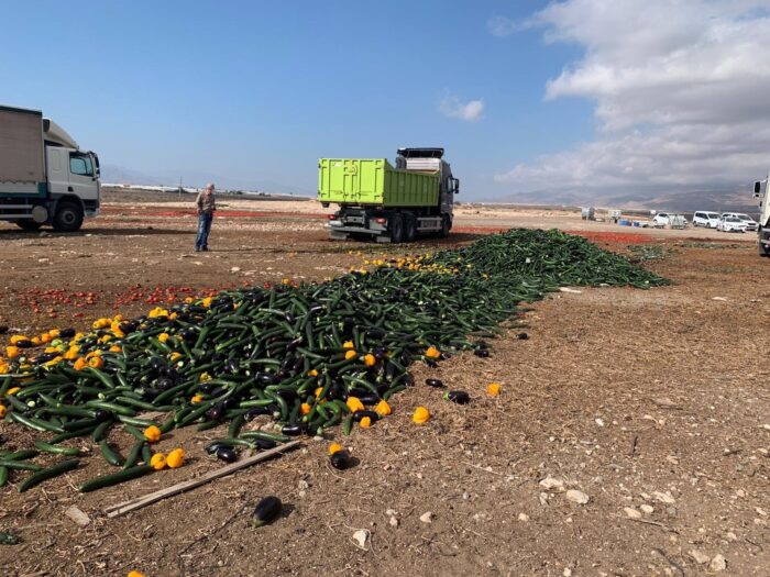 Agricultores andaluces se unen para solicitar precios justos en el mercado