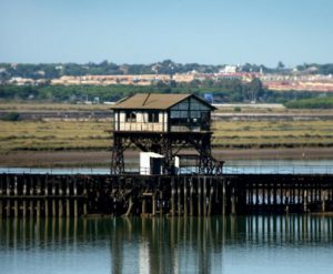 Una ruta ciclopeatonal unirá Huelva, Aljaraque y Gibraleón