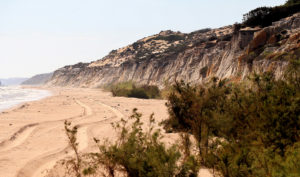 La senda de los gigantes fósiles de Doñana