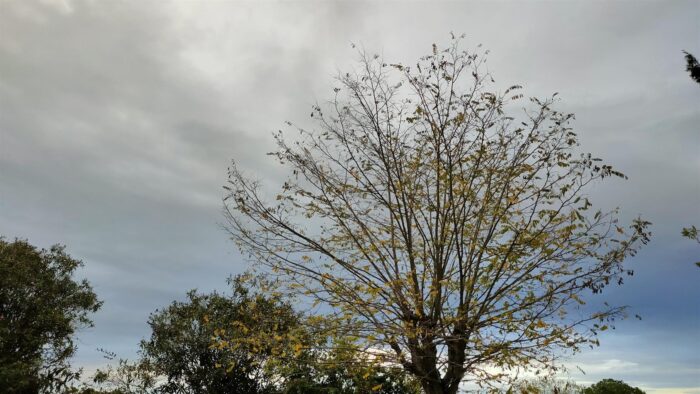 Lluvias a partir del miércoles en Andalucía