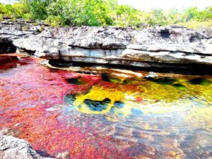 Caño Cristales, el río más hermoso del mundo está en Colombia