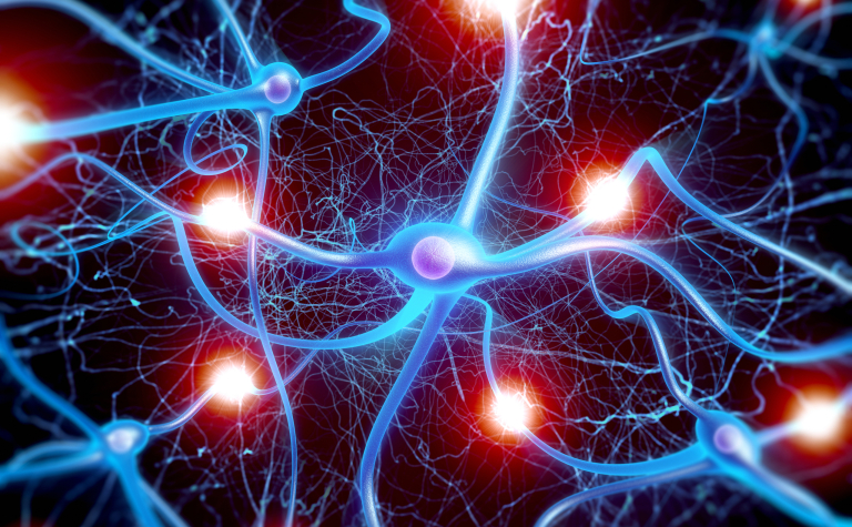 La Esclerosis Lateral Amiotrófica (ELA) es una enfermedad neurodegenerativa del sistema nervioso central, caracterizada por la degeneración progresiva de neuronas motoras que lleva a la parálisis muscular.