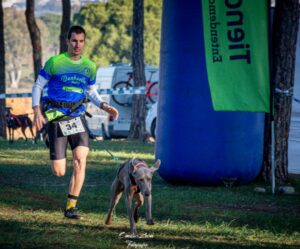 Imagen de la competición. / Foto: Página de Facebook Oficial de la Copa de Andalucía Mushing.