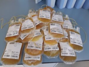 Cádiz contabiliza 132 donaciones de plasma hiperinmune para combatir el Covid