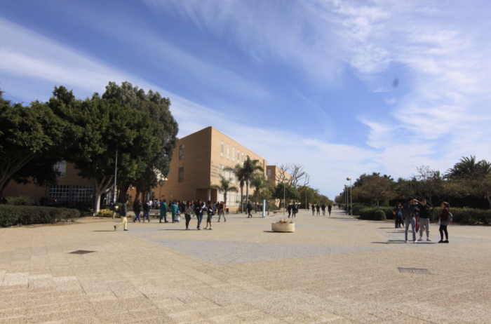 La Universidad de Almería oferta de 25 plazas para jóvenes titulados