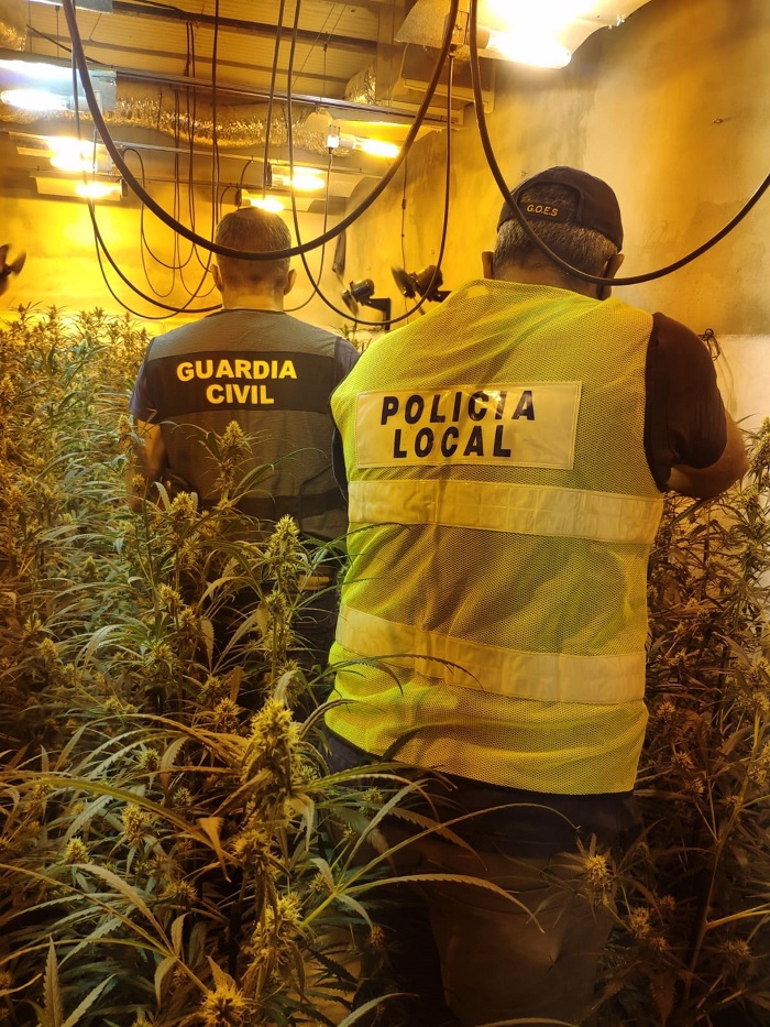 24 detenidos de una red que transportaba droga desde Cádiz a países de la UE