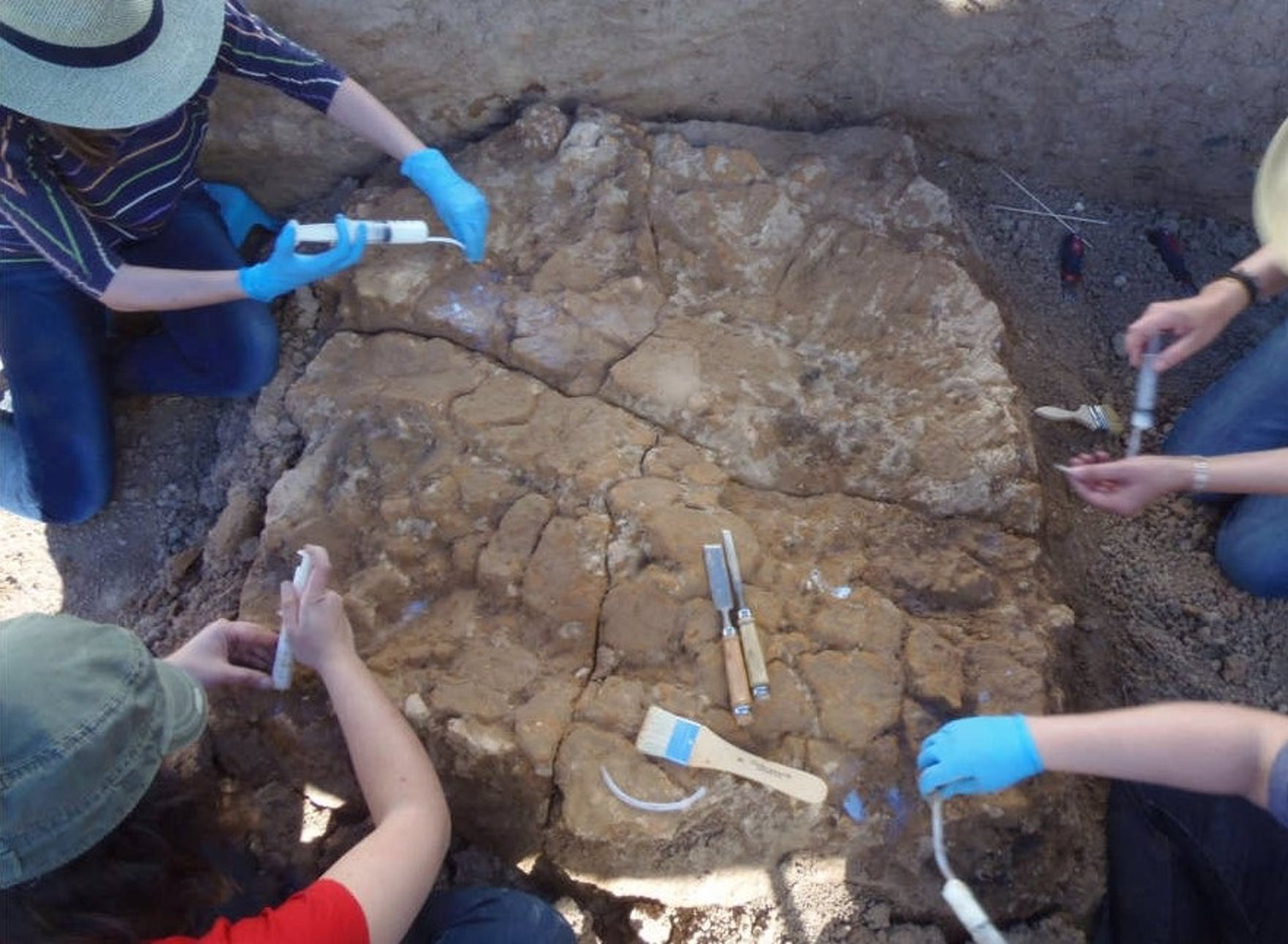 Imagen de la extracción de uno de los fragmentos de adobe de la cabaña prehistórica de Valencina. / Foto: MDC/PGG. / Europa Press.