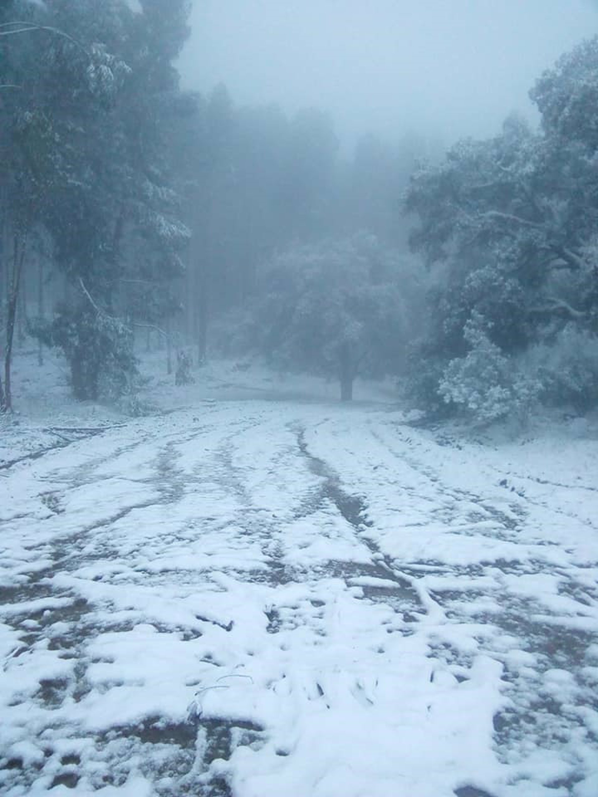 Nieve en los Picos de Aroche. / Foto: A.M.C. / Europa Press.