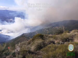 Incendio en Castala, en Berja (Almería). / Foto: INFOCA. / Europa Press.