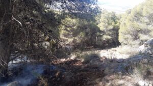 Incendio forestal en el paraje de Castala de Sierra de Gádor, en Berja (Almería). / Foto: Infoca. / Europa Press.