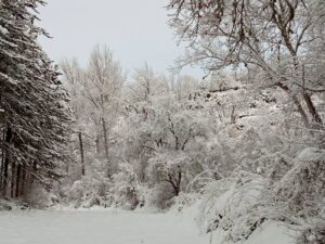 Más de media Andalucía, pendiente de la lluvia y la nieve