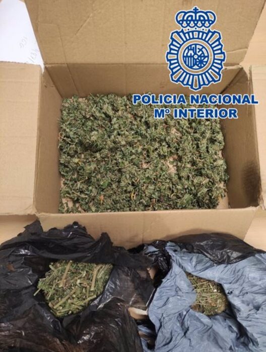 Detenido por vender droga que escondía en las rotondas de Granada