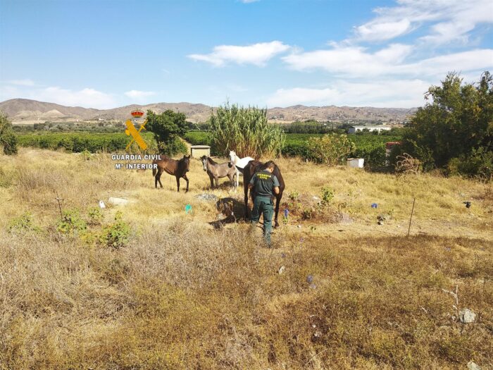 La Guardia Civil de Málaga ha rescatado 96 animales maltratados en 2020