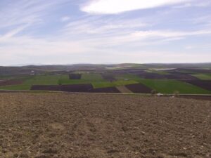 La campiña cordobesa descubre su historia bajomedieval escondida