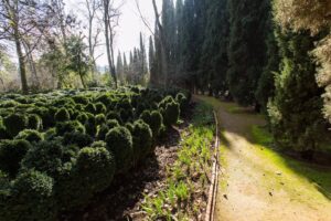 Tabla de los Bojes de Granada. / Foto: Junta de Andalucía. / Europa Press.