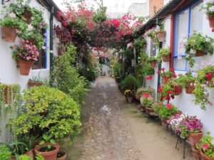 Córdoba celebra sus patios del 3 al 16 de mayo