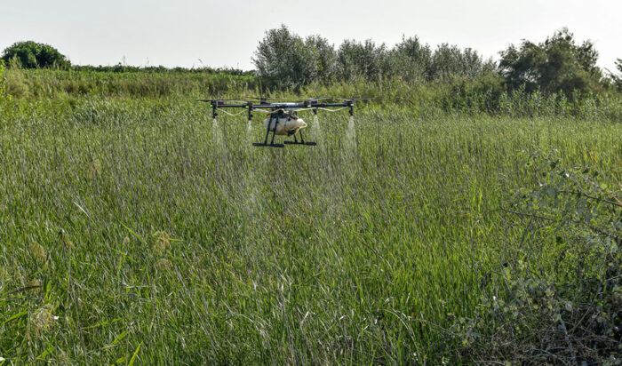 Andalucía se prepara ante enfermedades transmitidas por mosquitos y garrapatas