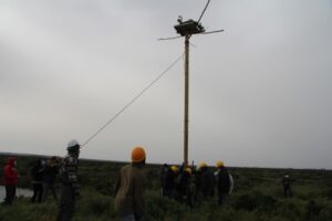 Cádiz une esfuerzos para la recuperación del águila pescadora