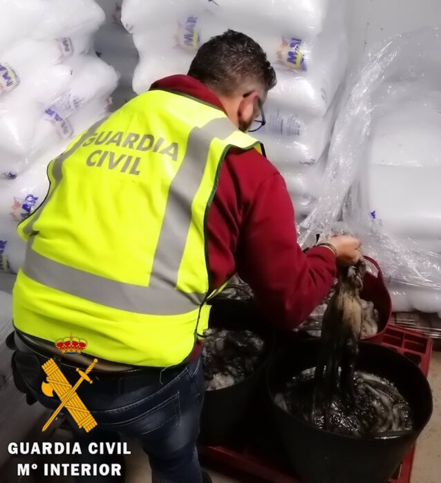 Intervienen en Almería 100 kilos de pulpo almacenados en un coche