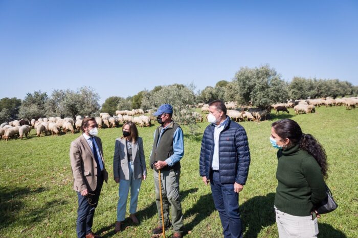 La Alhambra afianza su actividad del pastoreo en la Dehesa del Generalife