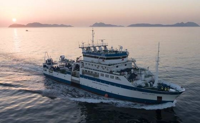 Nueva campaña en el Golfo de Cádiz para conocer la abundancia de sardinas y caballas