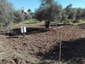 Aplican corrientes eléctricas para medir la humedad del suelo del olivar