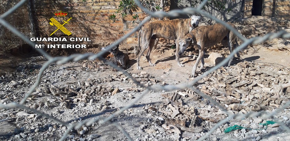 Cinco investigados en Alcalá de Guadaíra por la muerte de seis podencos