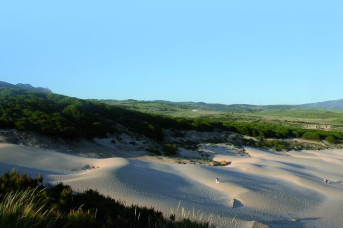 Duna de Bolonia en Cádiz / Foto: Junta de Andalucía