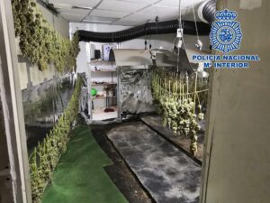 Hallan un cultivo de marihuana camuflado como un local de alquiler de caravanas