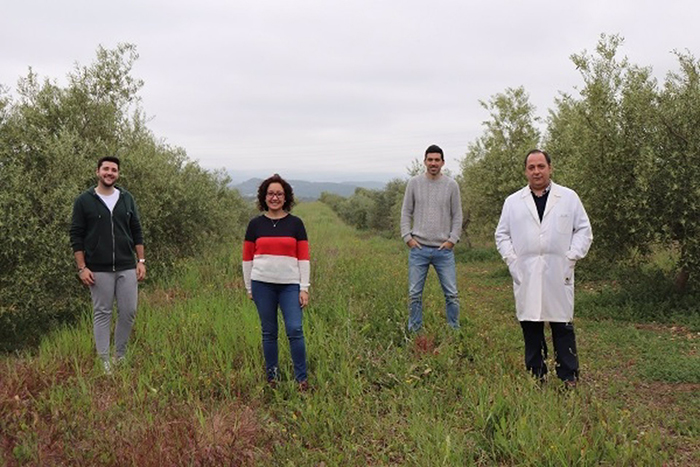 Estudio cordobés asegura que las cubiertas vegetales mejoran la calidad del suelo a corto plazo