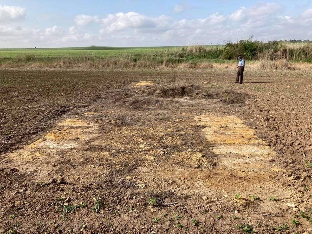 Descubren una posible infraestructura histórica junto a una vía pecuaria en Alcalá