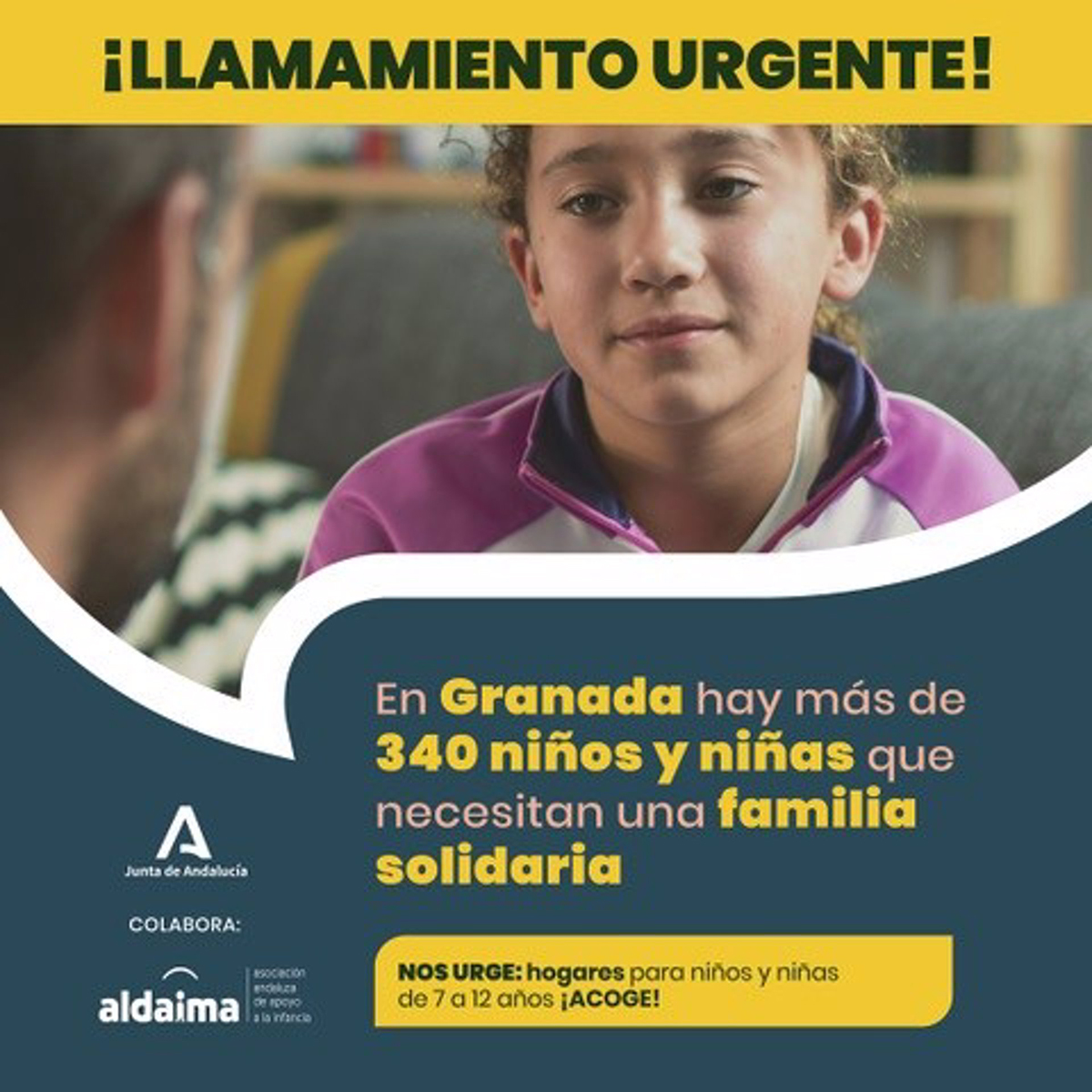 Buscan más de 340 familias de acogida en la provincia de Granada