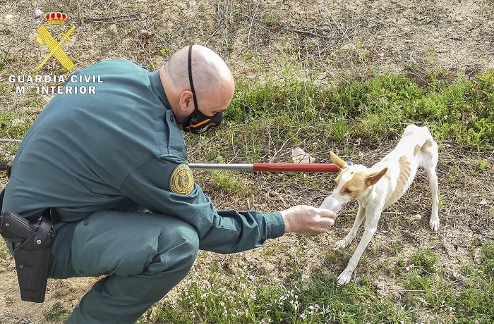 Rescatan a un perro que había caído en una balsa de riego en Pinos Puente